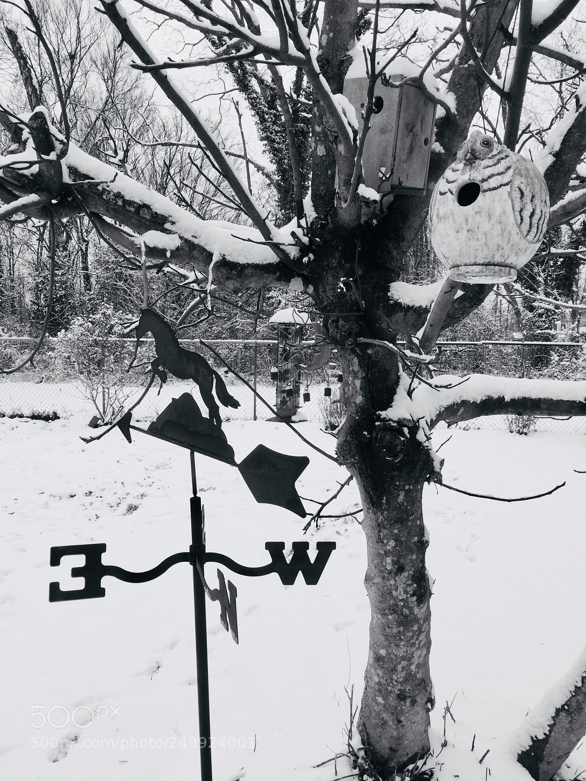 Apple iPhone 5s sample photo. Winter in black/white photography