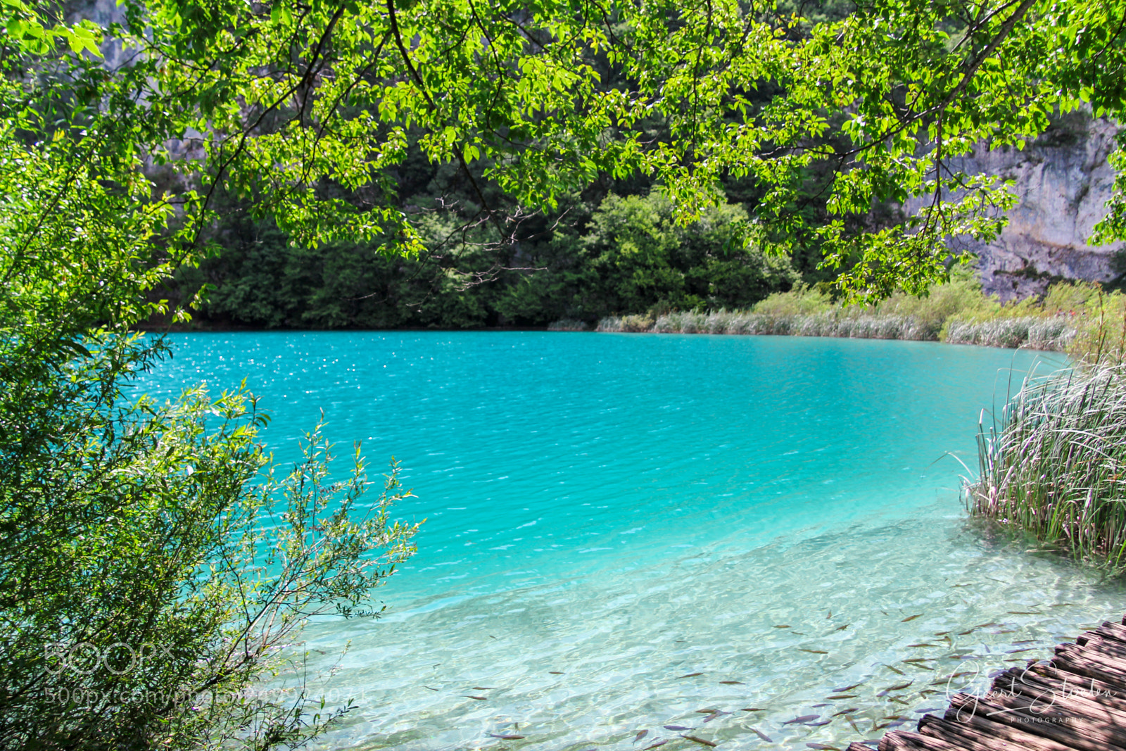 Canon EOS 60D sample photo. Plitvice, croatia photography