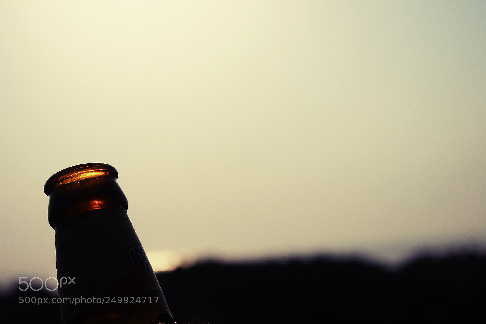 Canon EOS 600D (Rebel EOS T3i / EOS Kiss X5) sample photo. Bottle view in sunlight photography
