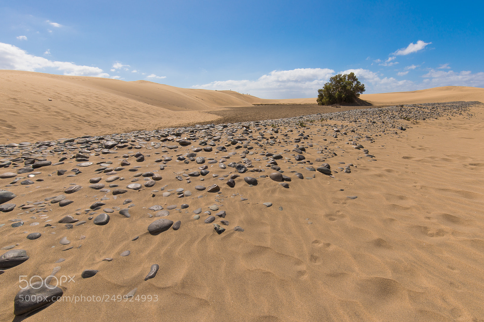 Canon EOS 5D Mark IV sample photo. Maspalomas photography