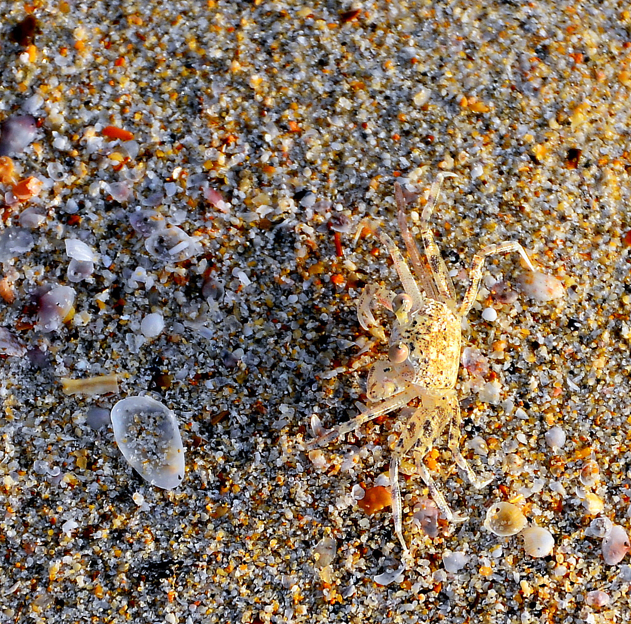 Nikon D610 sample photo. Dsc photography