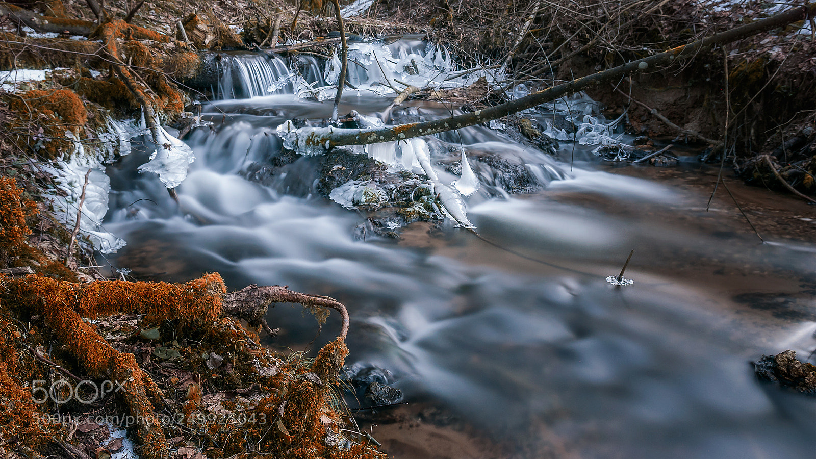 Nikon D40X sample photo. Spring is coming photography