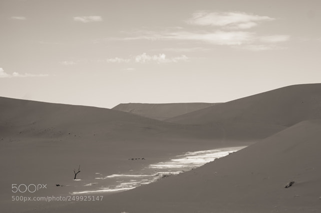 Fujifilm X-T1 sample photo. Dunes in deadvlei, namibia photography