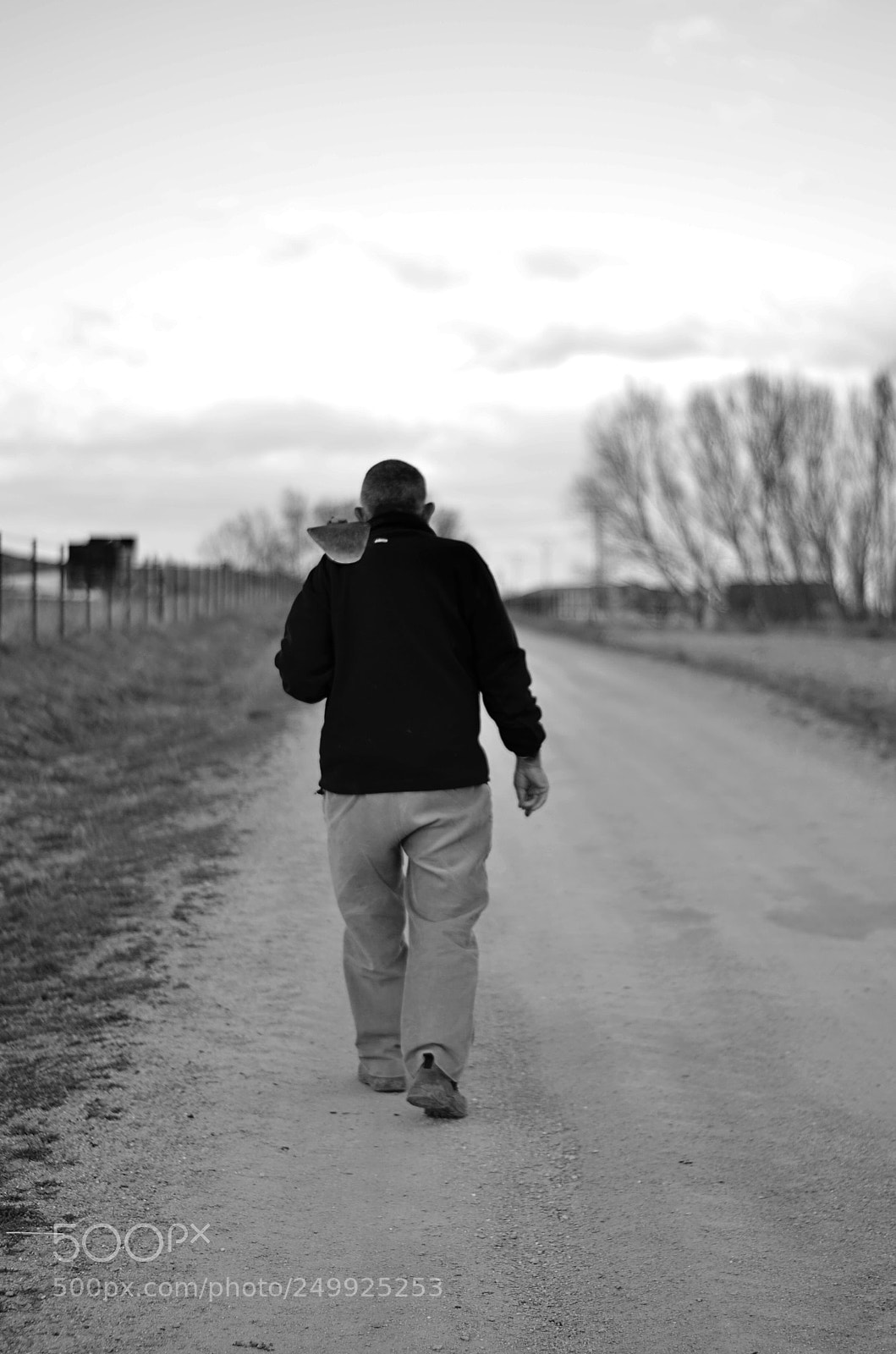 Nikon D5100 sample photo. Work. photography