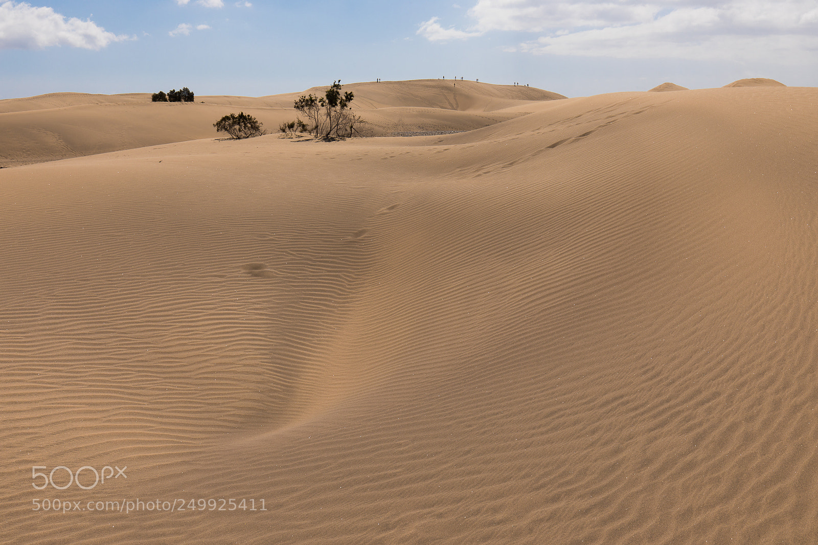 Canon EOS 5D Mark IV sample photo. Maspalomas photography