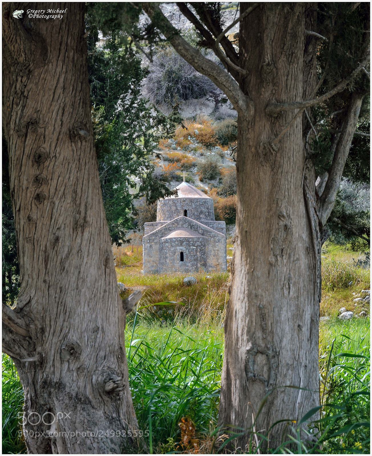 Nikon D7100 sample photo. Untitled photography