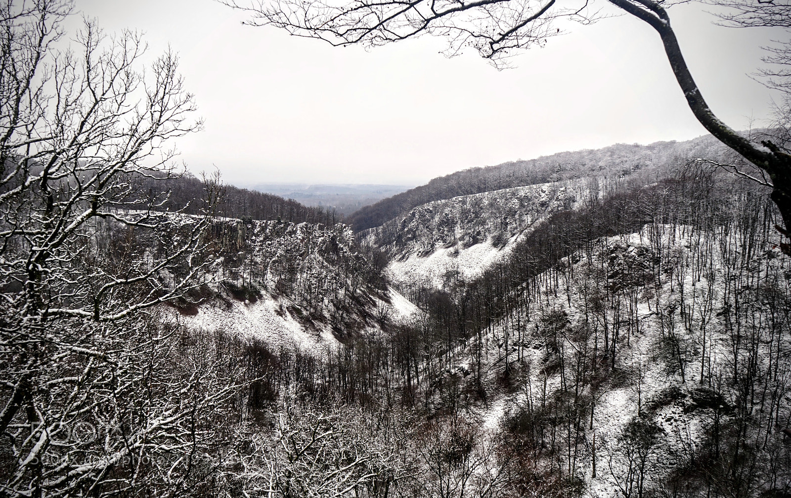 Sony a7 sample photo. The end of winter photography