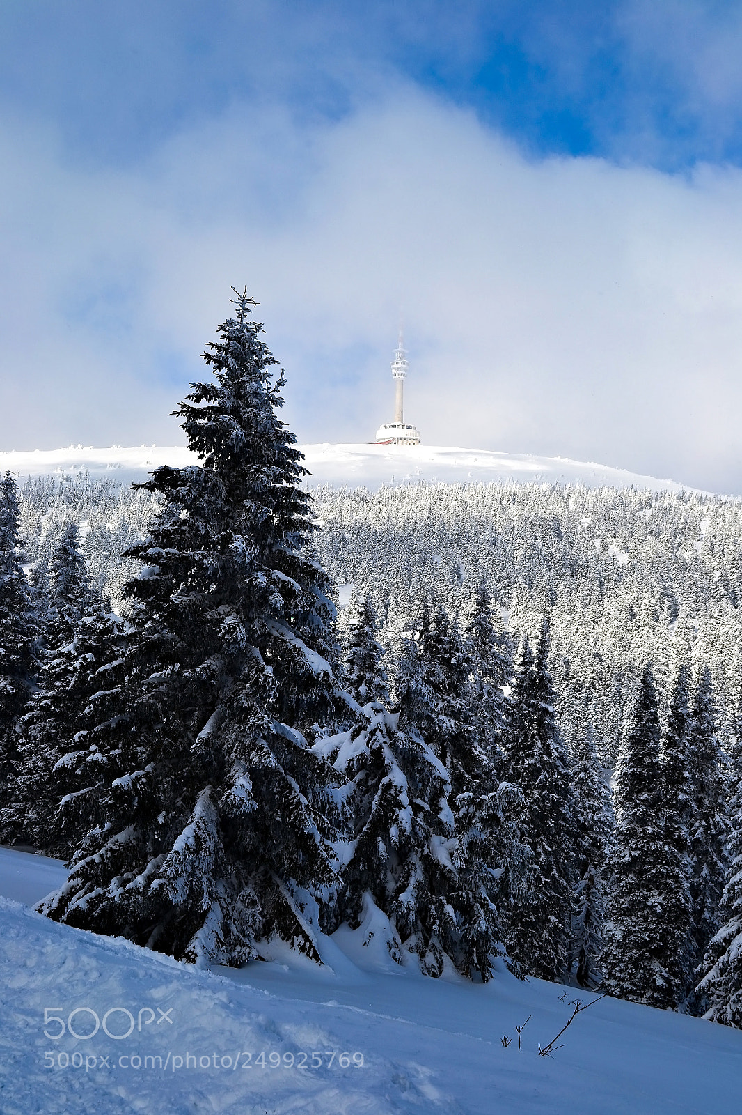 Nikon D3100 sample photo. Praděd photography