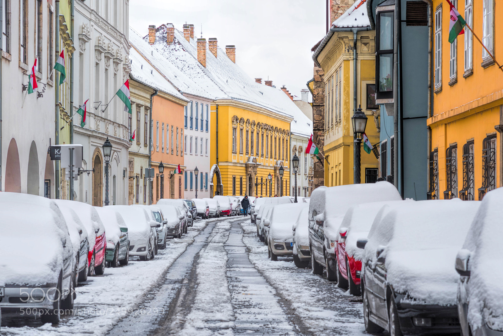 Nikon D810 sample photo. Snow in march in photography