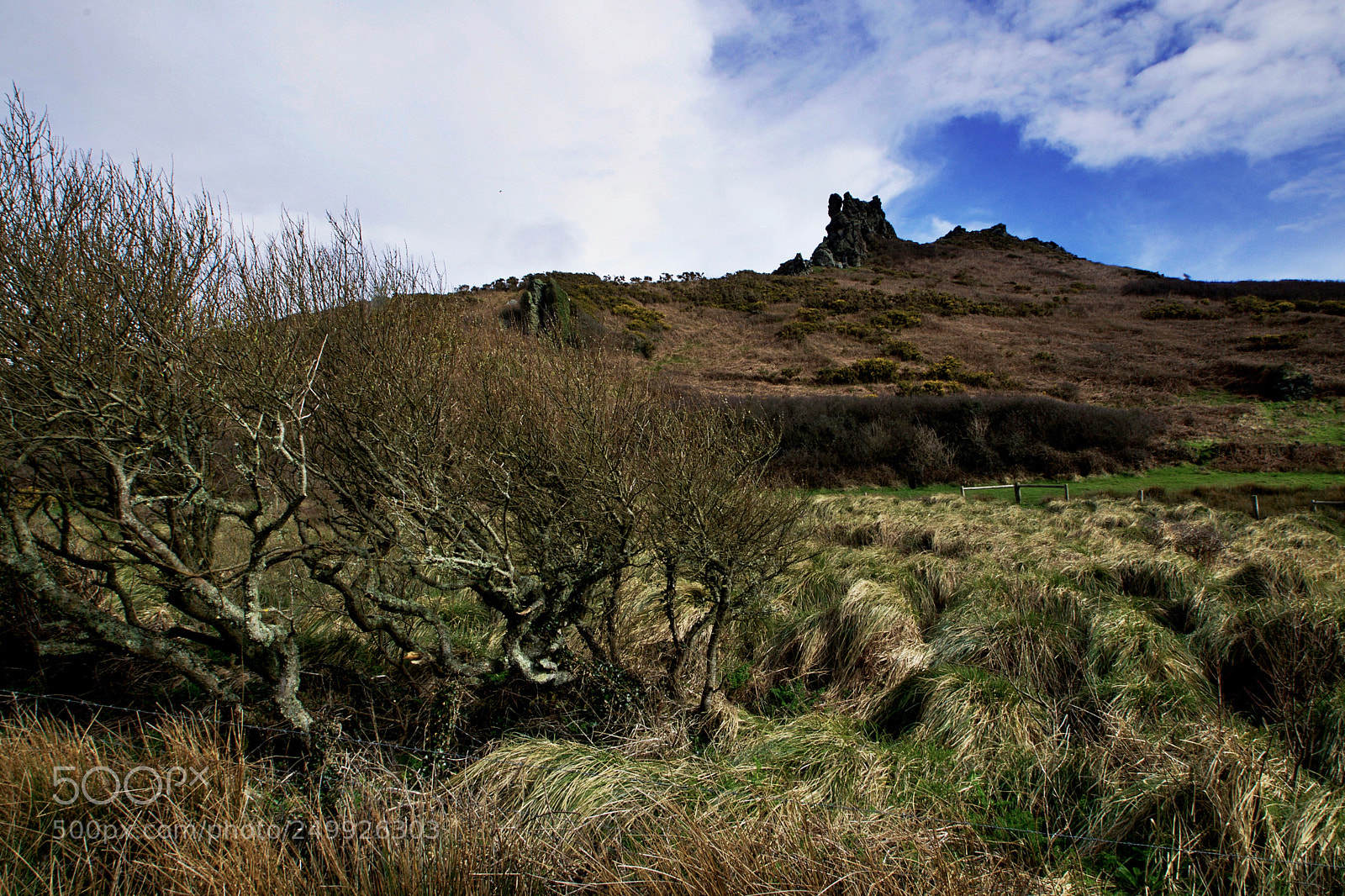 Nikon D3300 sample photo. Mysterious rocks photography