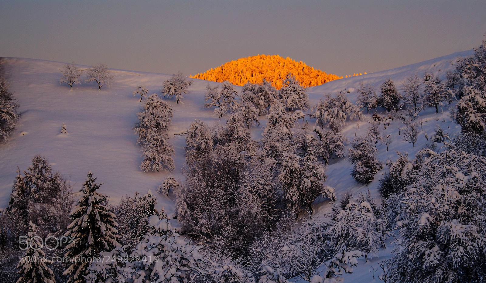 Sony Alpha DSLR-A330 sample photo. Sunrise photography