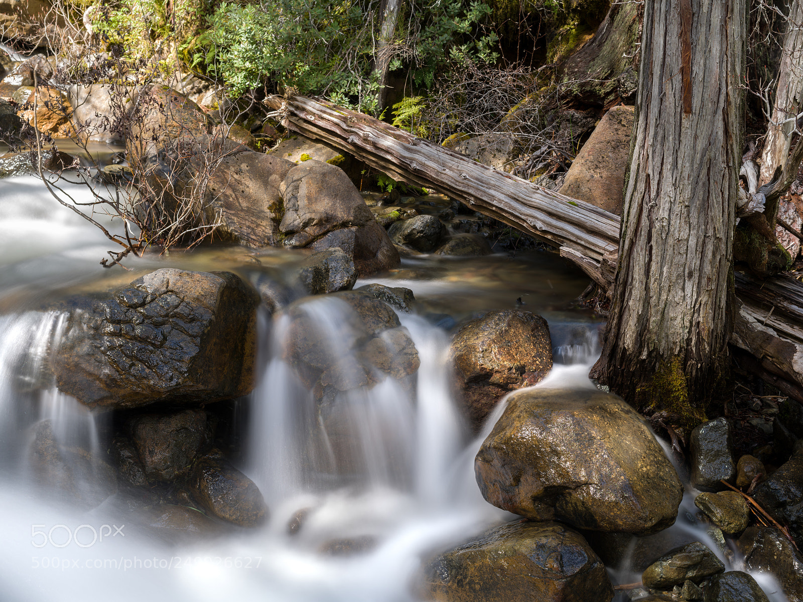 Pentax 645Z sample photo. West fork, patrick creek photography