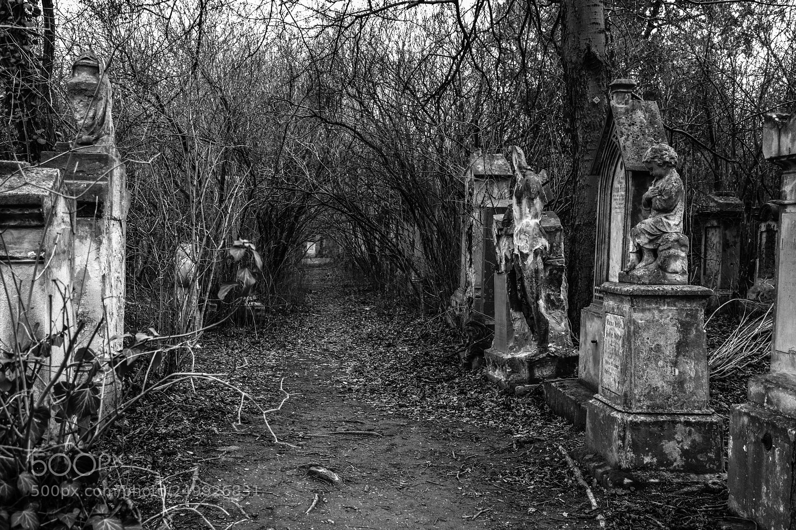 Nikon D5300 sample photo. Cemetery_4 photography