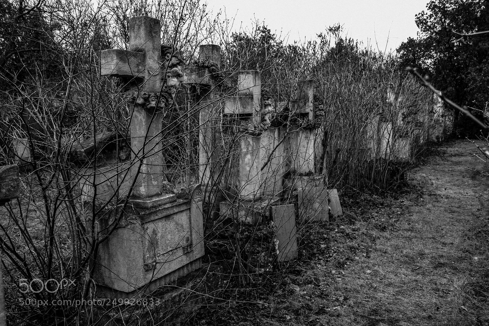 Nikon D5300 sample photo. Cemetery_2 photography