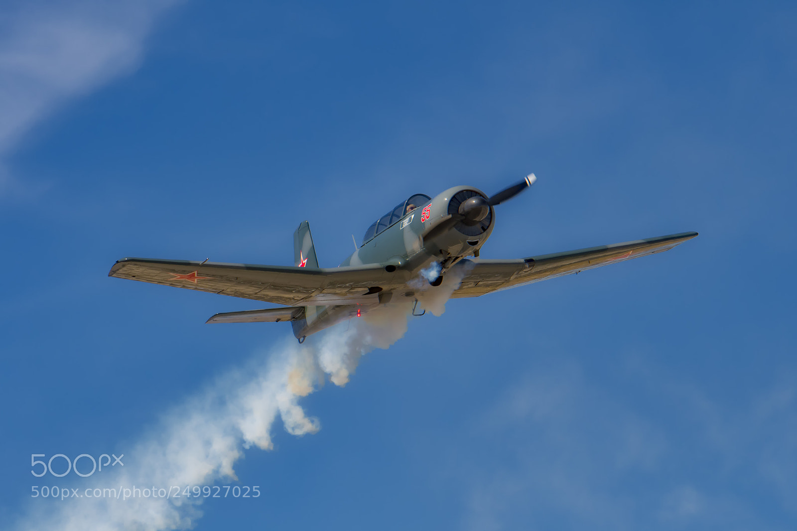 Nikon D500 sample photo. Maverick... photography