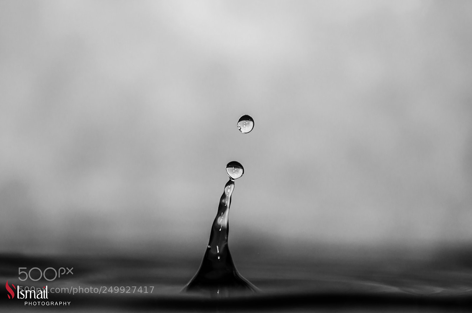 Nikon D5100 sample photo. Drops photography
