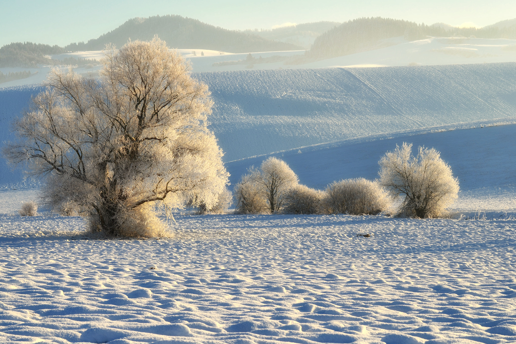Nikon D5100 sample photo. Winter morning photography