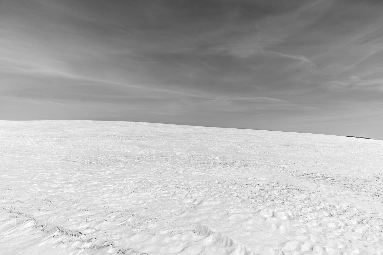 Sony a7 II sample photo. Landscape in white photography