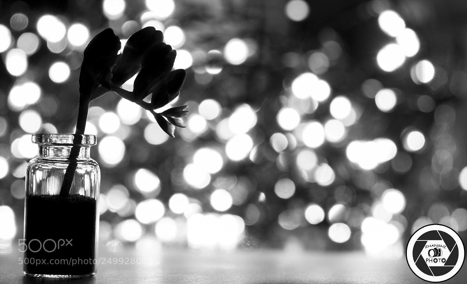 Nikon D3100 sample photo. B&w photography