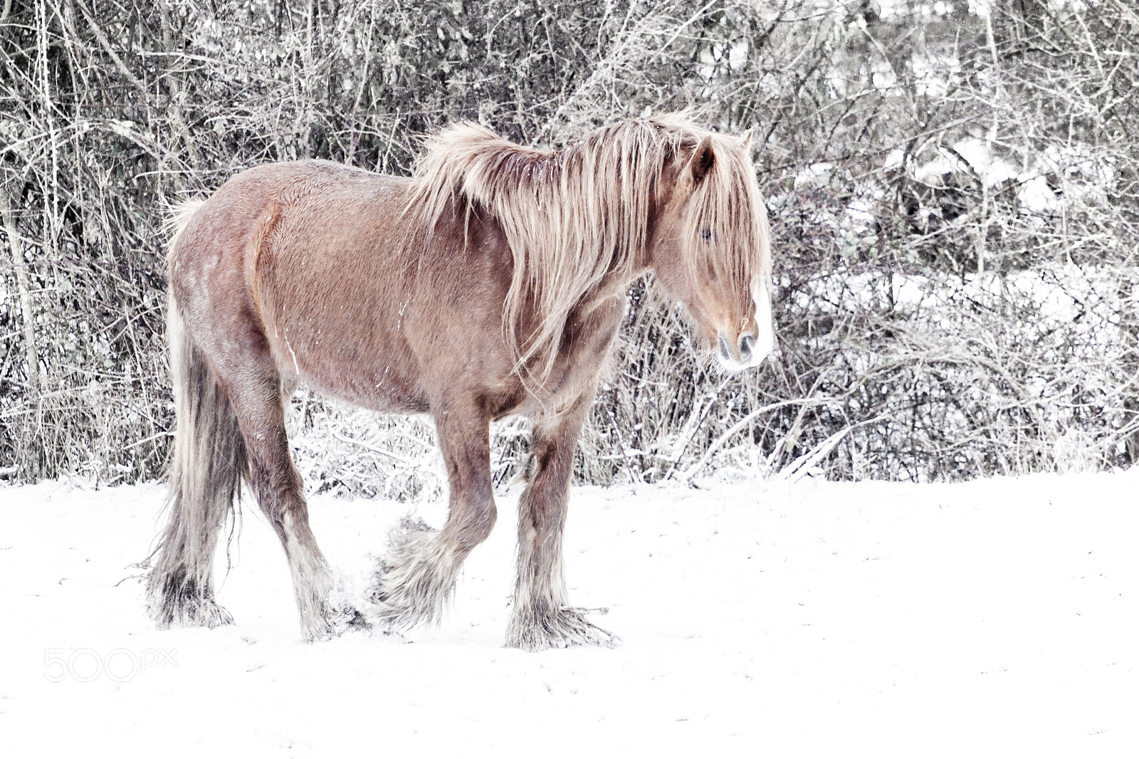Canon EOS 50D sample photo. Sandiacre fields photography