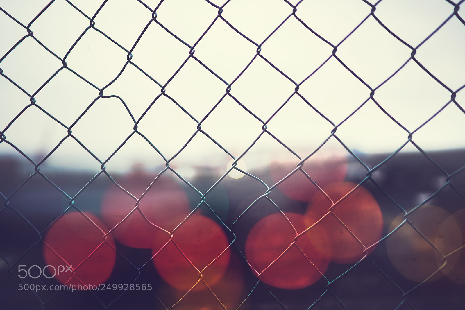 Sony a7R II sample photo. Day seventy eight photography