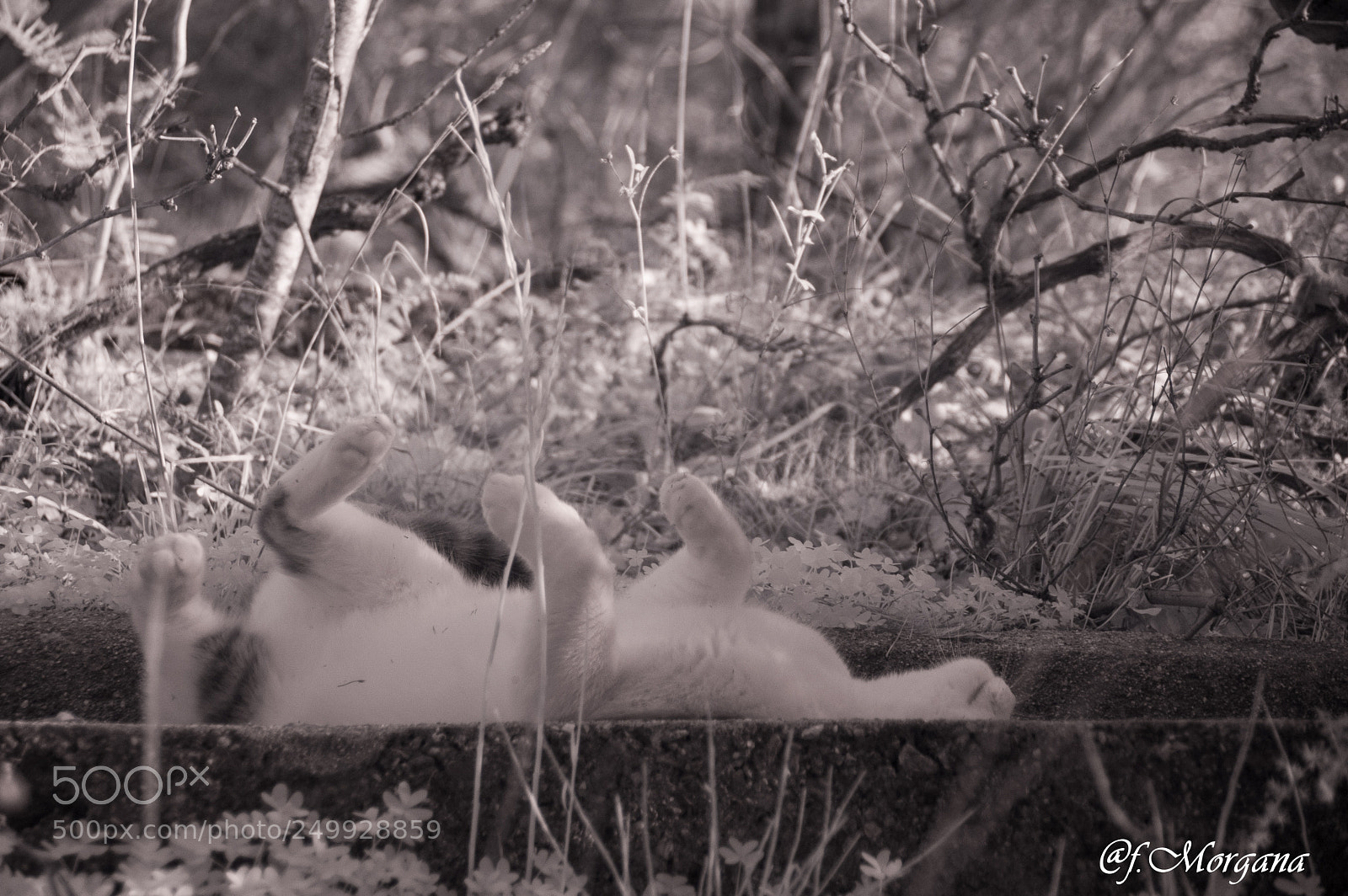 Nikon D70 sample photo. Untitled photography