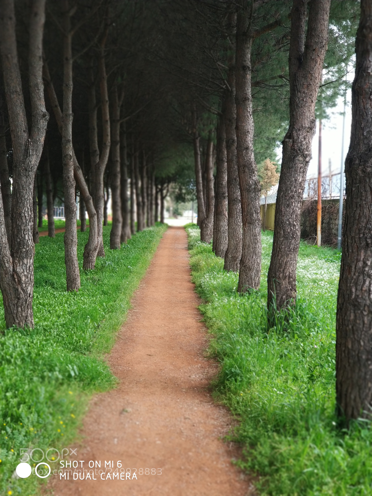 Xiaomi MI6 sample photo. Img_20180315_135548.jpg photography
