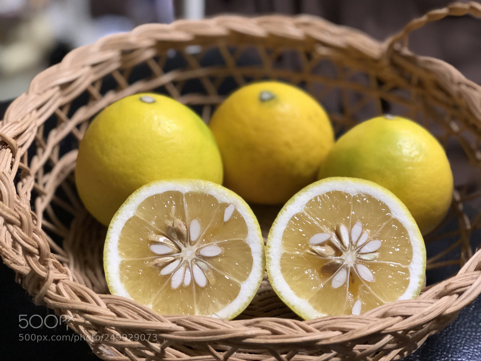 Apple iPhone 8 Plus sample photo. Hyuganatu photography