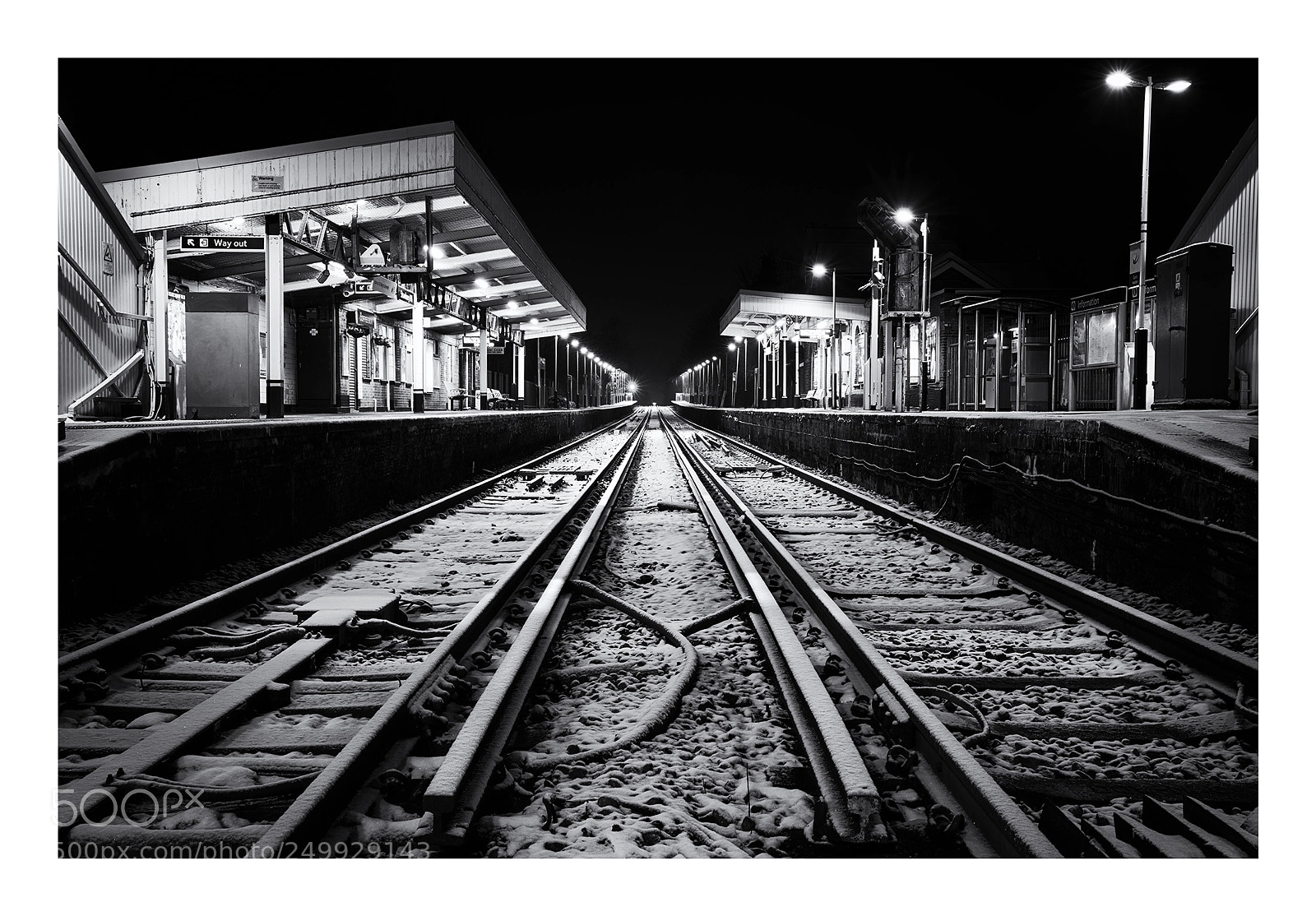 Nikon D810 sample photo. Strawberry hill photography
