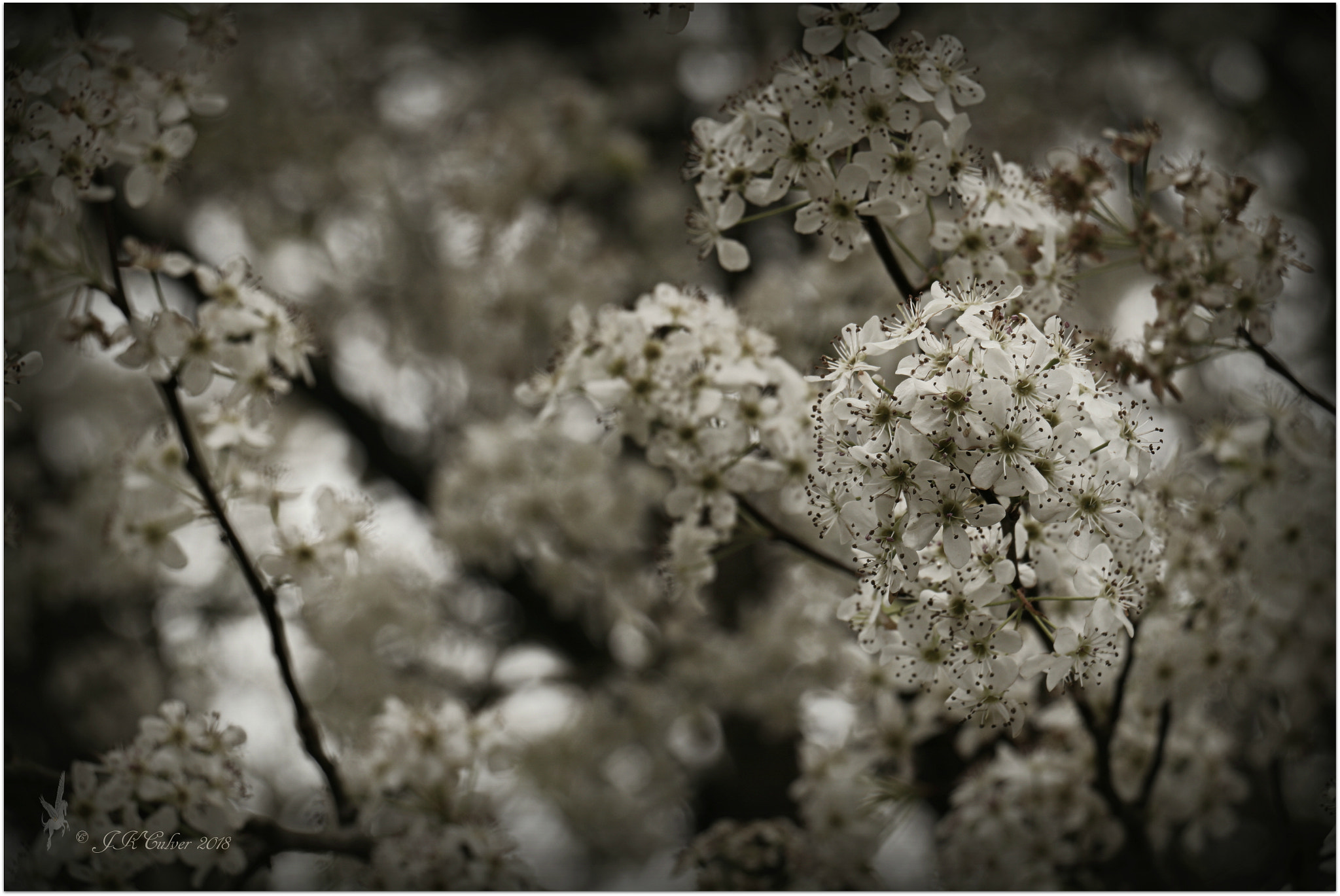 Canon EOS 77D (EOS 9000D / EOS 770D) sample photo. Give and take photography