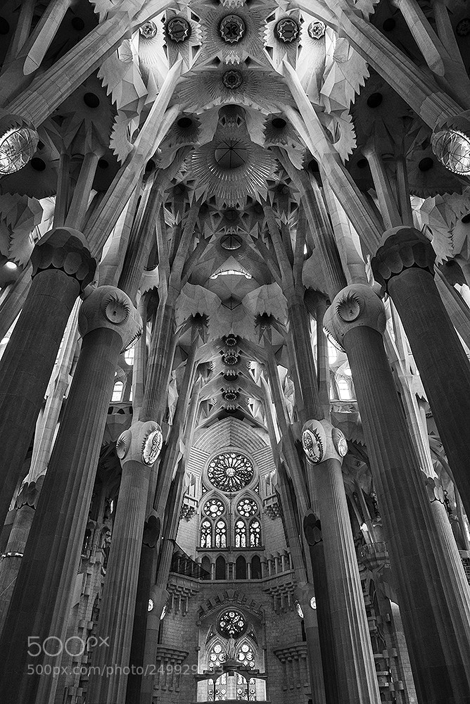 Nikon D600 sample photo. La sagrada familia photography
