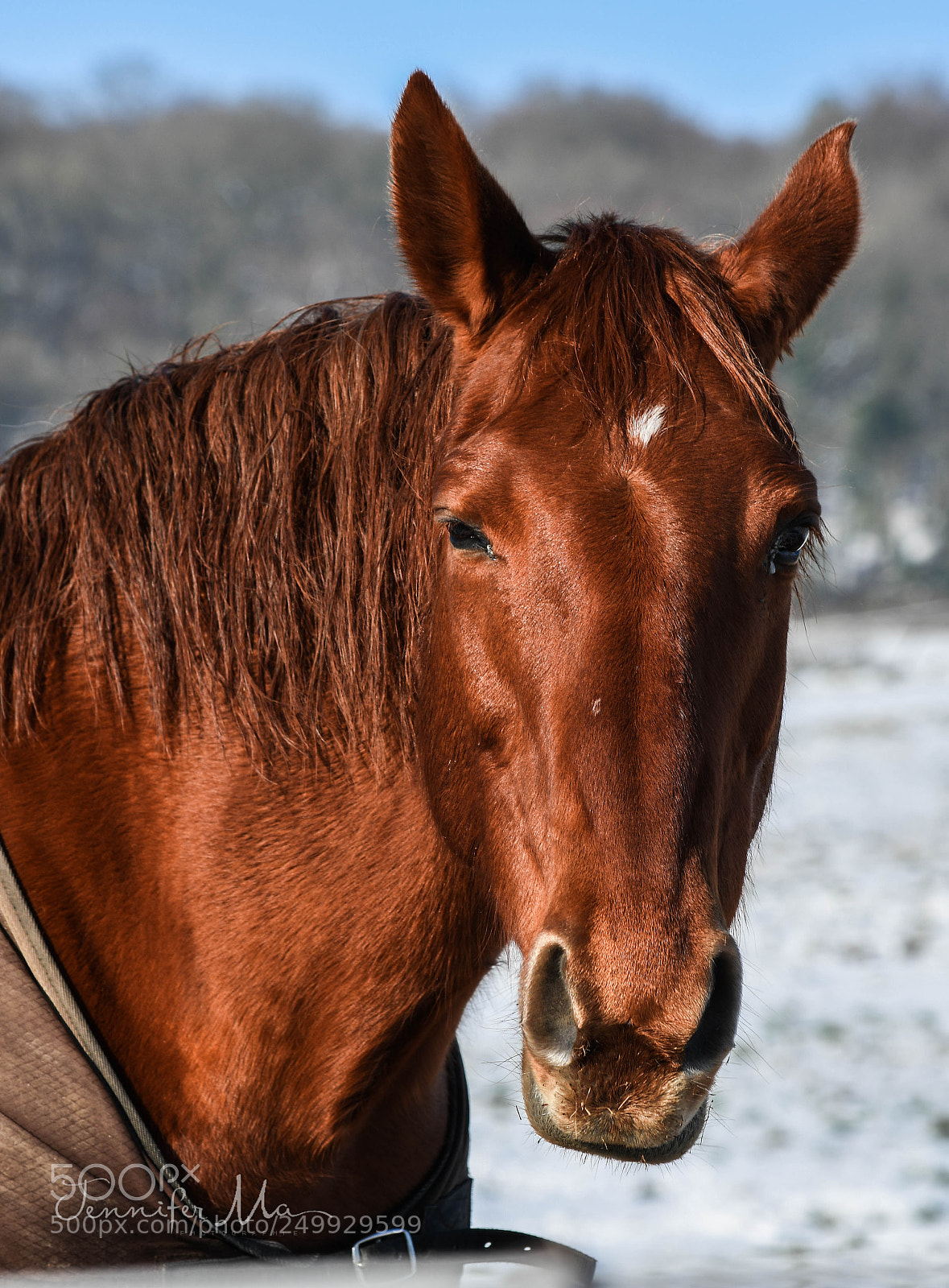 Nikon D7500 sample photo. Funny face photography