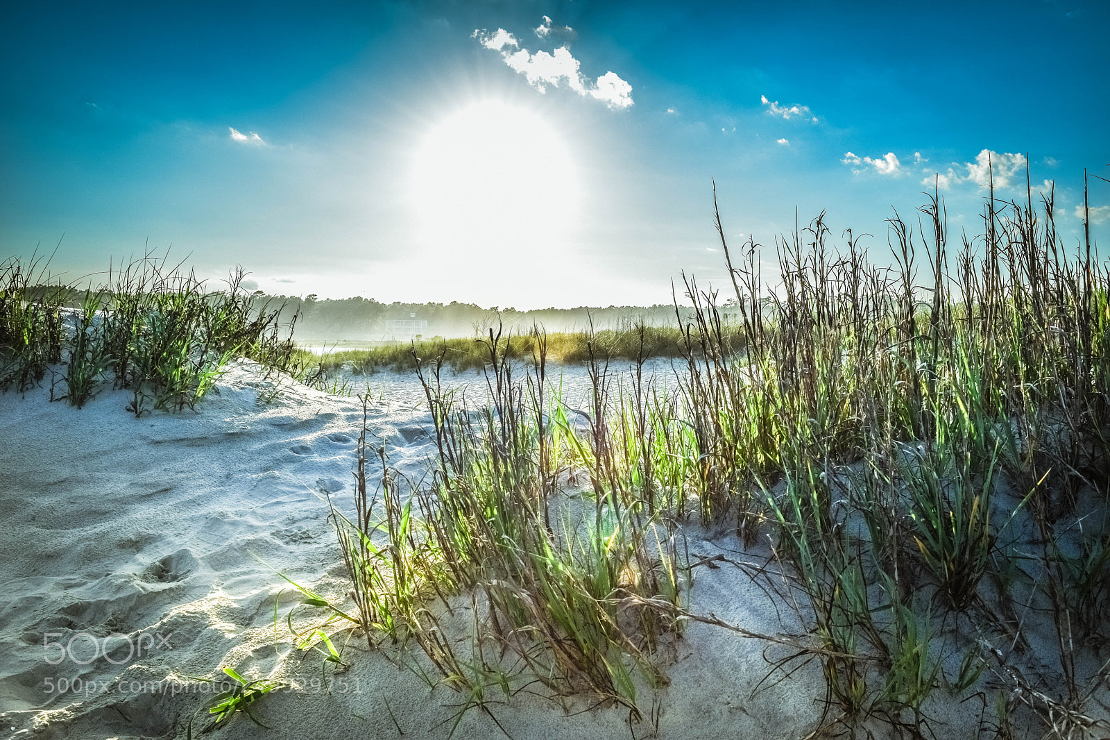 Nikon D5300 sample photo. Carolina horizon photography