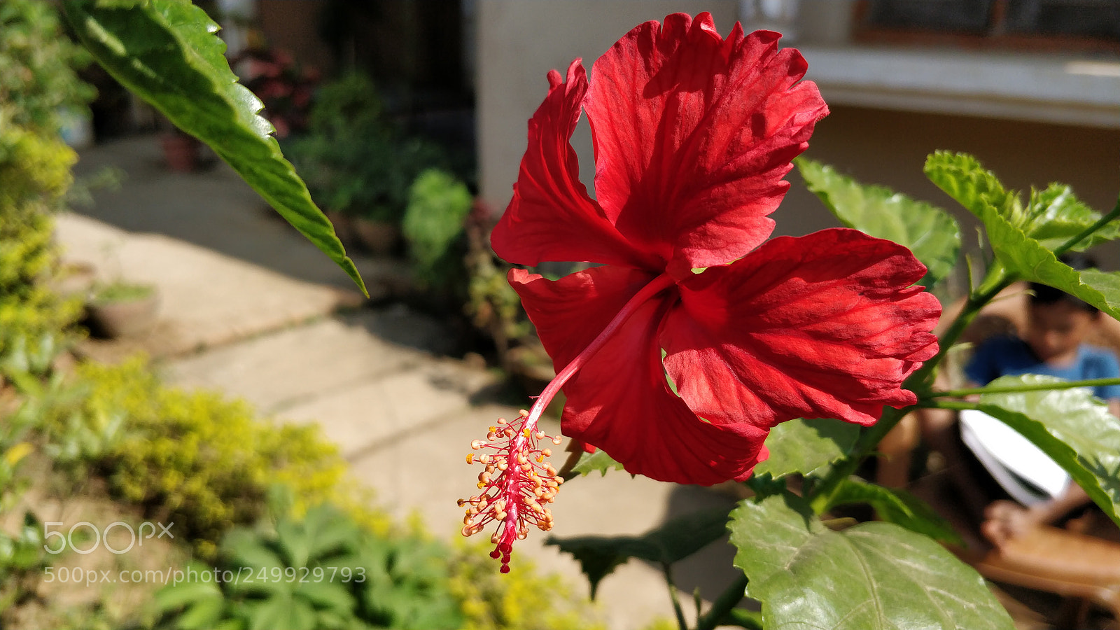 OnePlus 5 sample photo. Untitled photography
