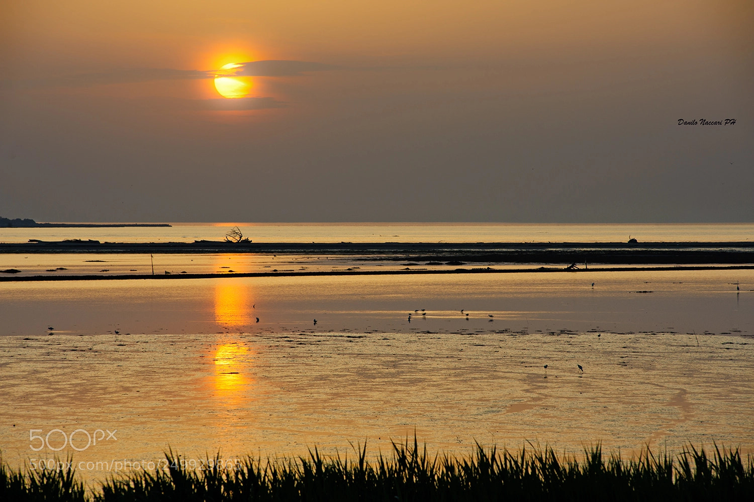 Nikon D700 sample photo. Alba nel delta del photography