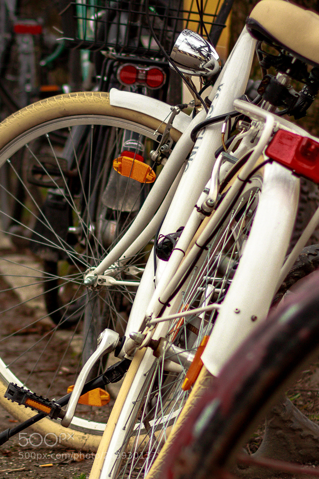 Canon EOS 550D (EOS Rebel T2i / EOS Kiss X4) sample photo. White bicycle photography