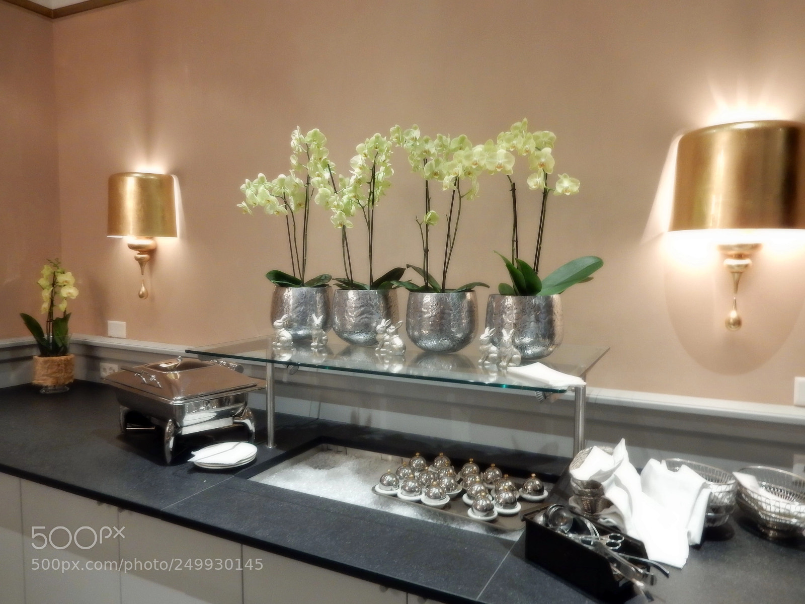 Nikon Coolpix S9900 sample photo. Five star orchids to photography