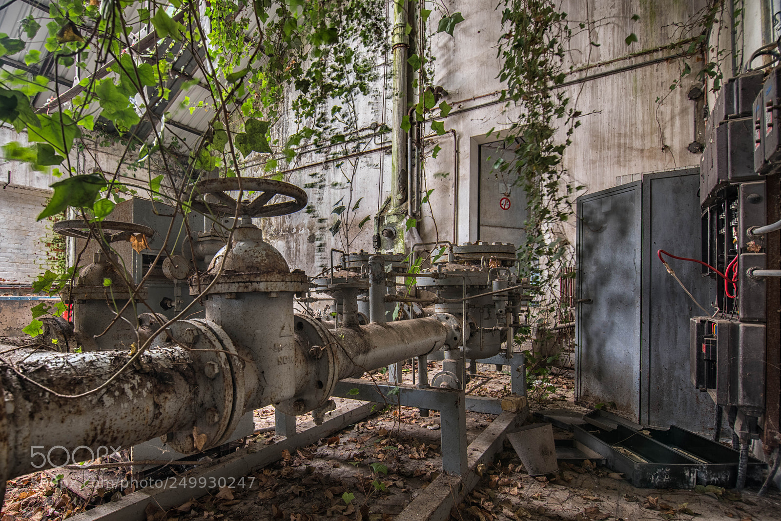 Nikon D810 sample photo. Force of nature photography