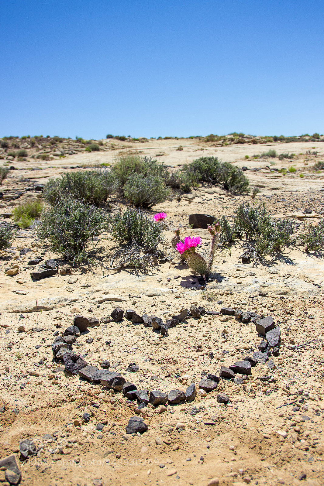 Canon EOS 600D (Rebel EOS T3i / EOS Kiss X5) sample photo. Heart in the sand photography