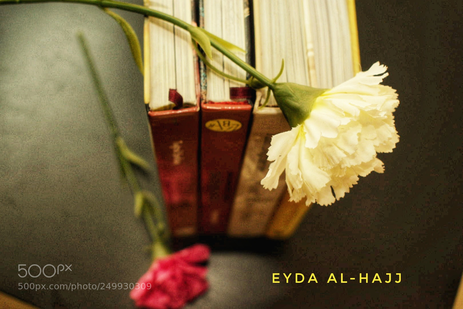 Nikon D5300 sample photo. Untitled photography