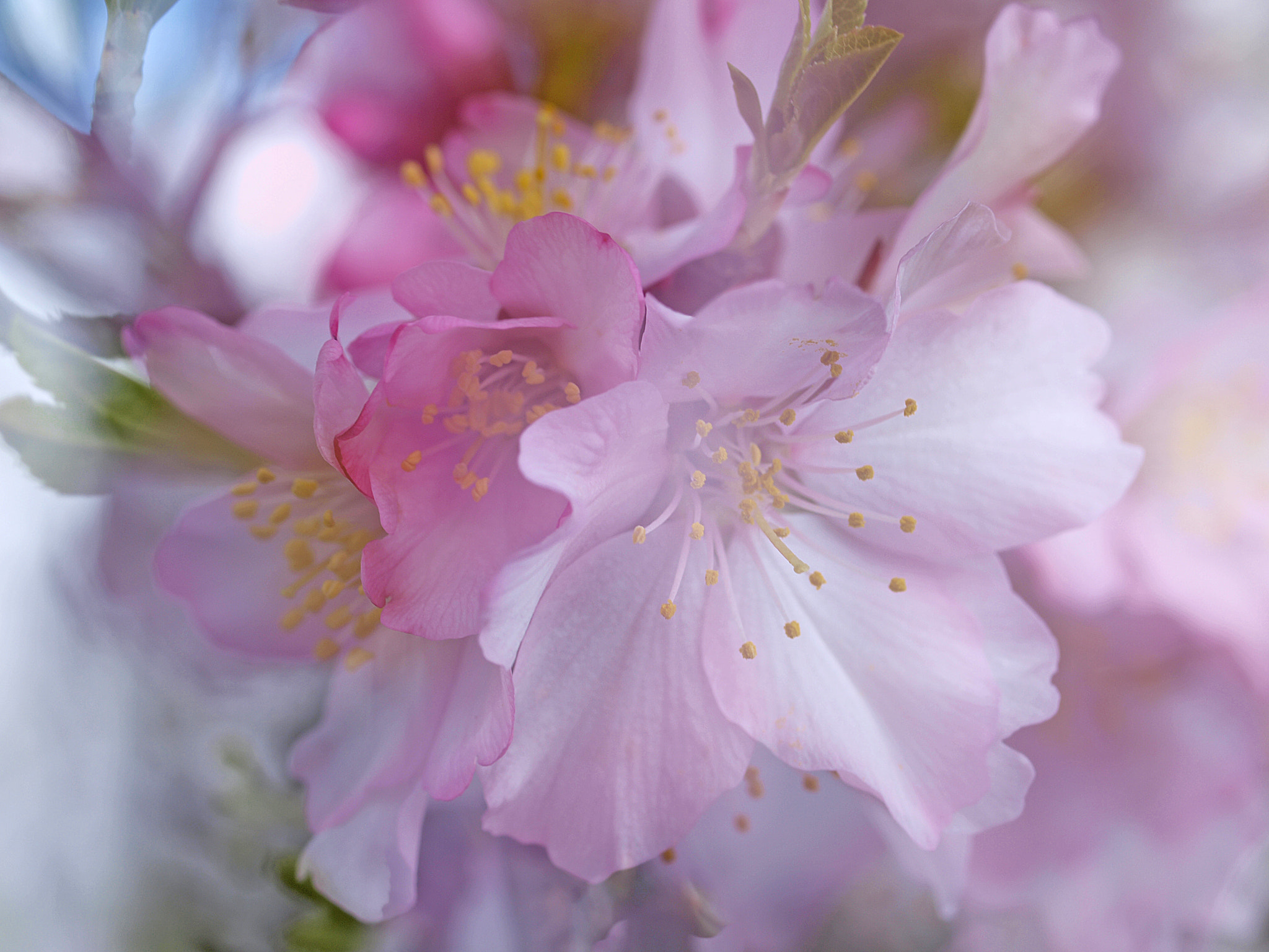 Olympus E-30 sample photo. Luz y color. photography