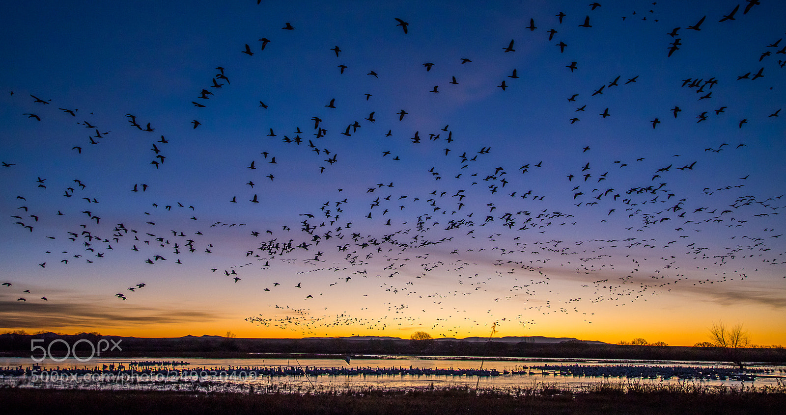 Canon EOS 5D Mark IV sample photo. Sunrise and sky of photography