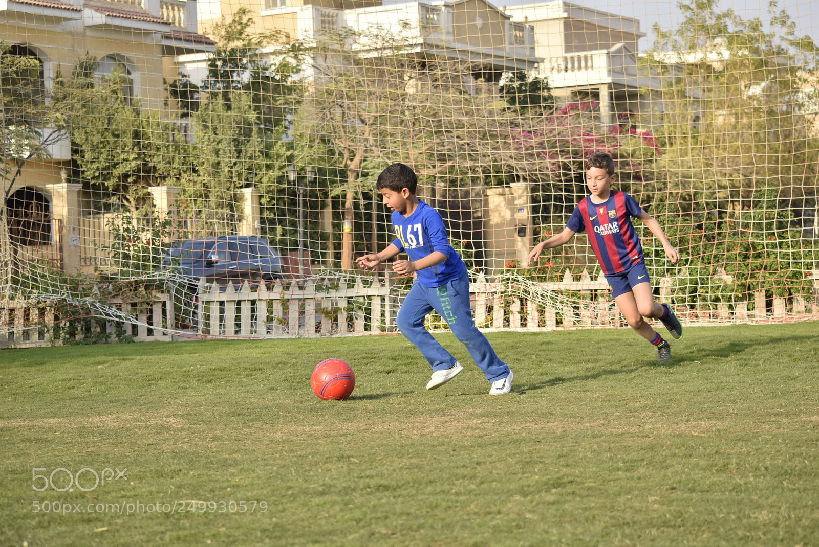 Nikon D5300 sample photo. Untitled photography