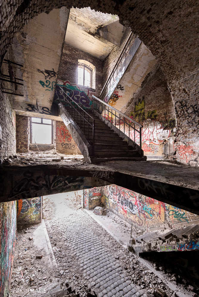 Nikon D610 sample photo. Chartreuze liège photography