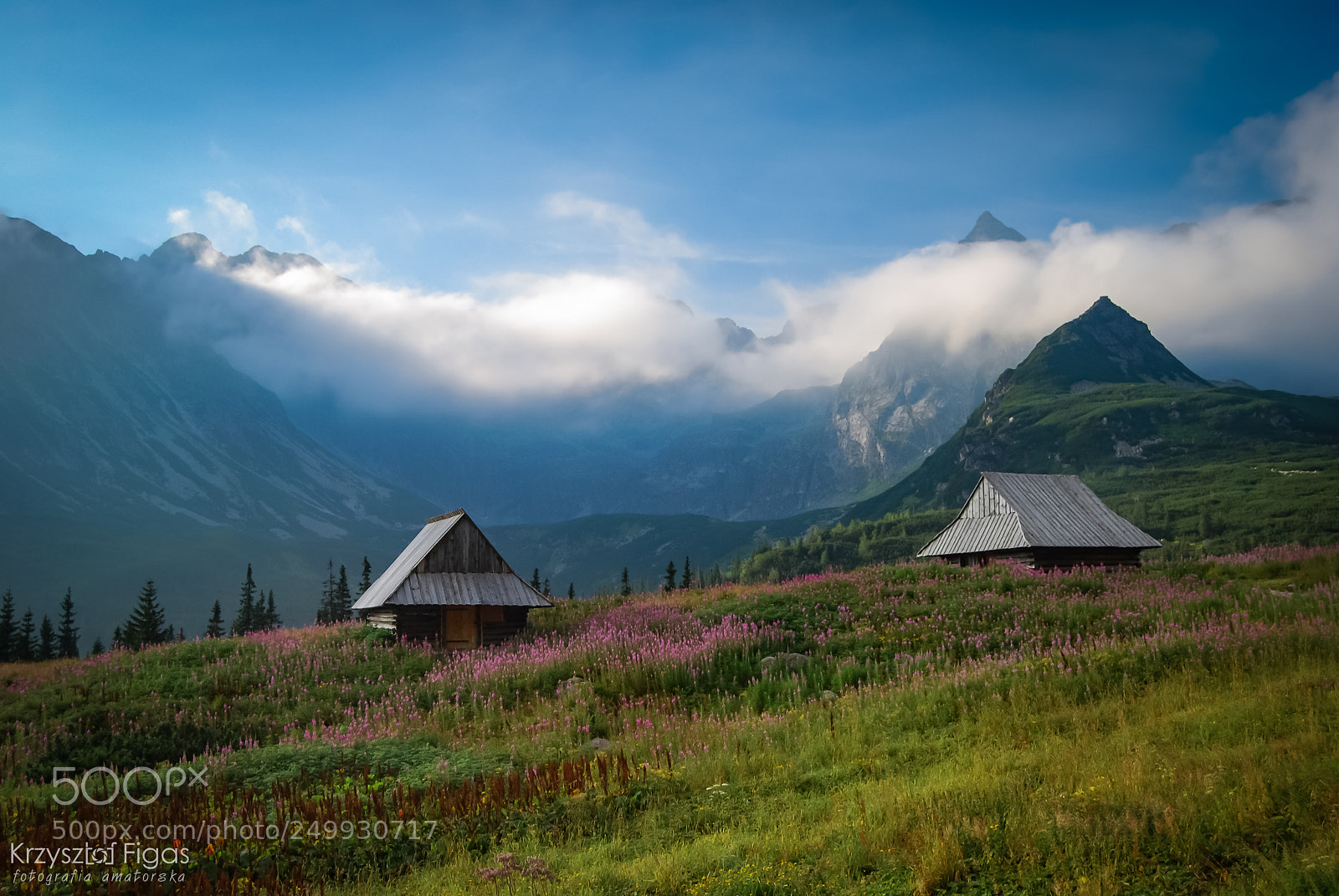 Nikon D40X sample photo. Morning in mountains. photography