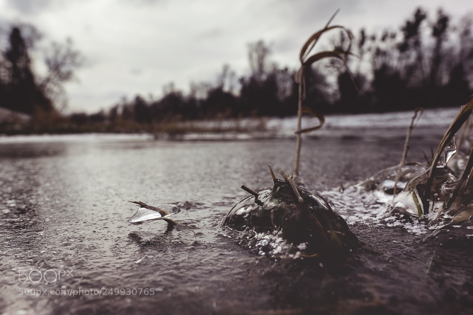Fujifilm X-T1 sample photo. * photography
