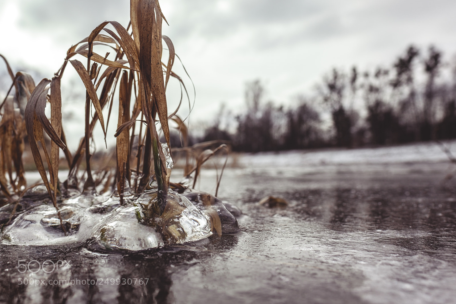 Fujifilm X-T1 sample photo. * photography