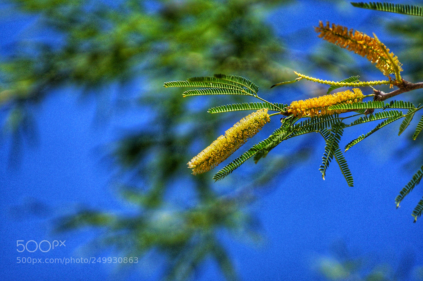 Sony SLT-A57 sample photo. Untitled photography