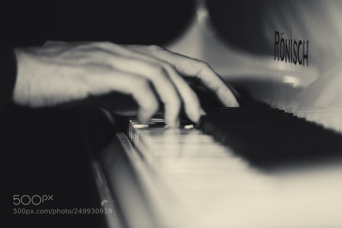 Nikon D800 sample photo. Hands photography