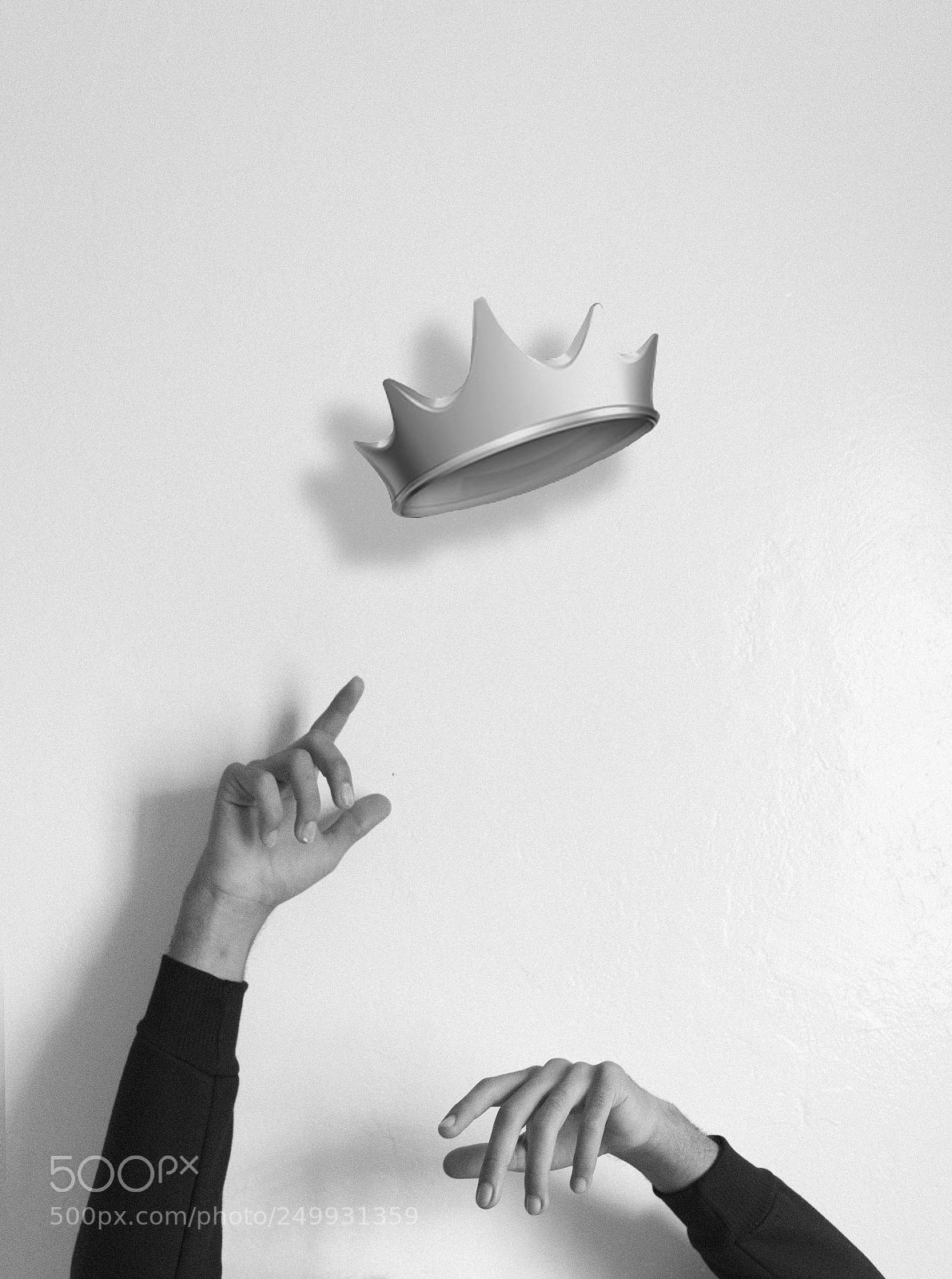 Nikon D5300 sample photo. All hail king x photography